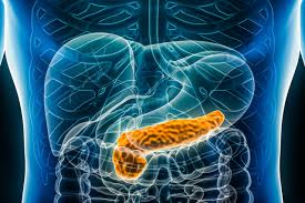 Pancreas Health