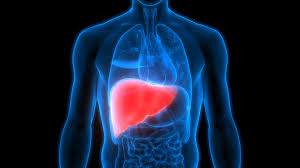 Liver Health