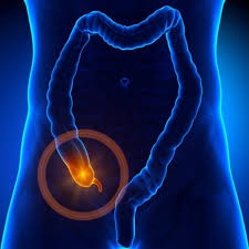 Appendicitis Health