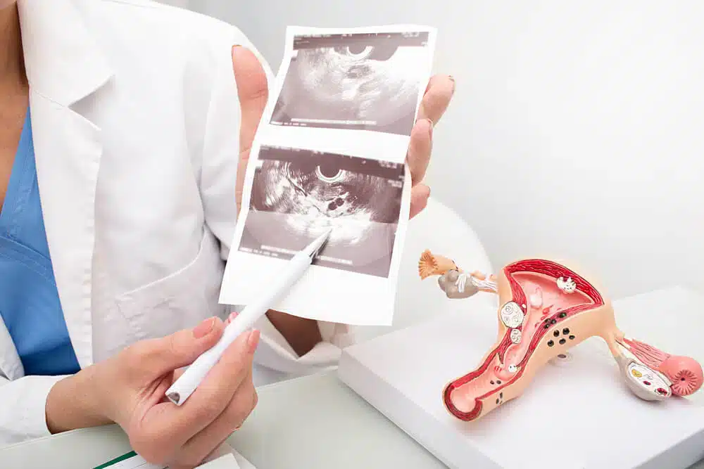 Explore Women’s Health: Learn, Understand, Empower