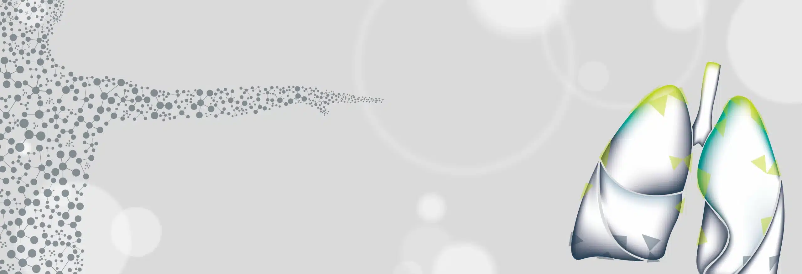 3D illustration of translucent human lungs on grey background for UK Health Check diseases and conditions page