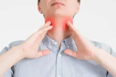 photograph showing the location of the Neck and Thyroid